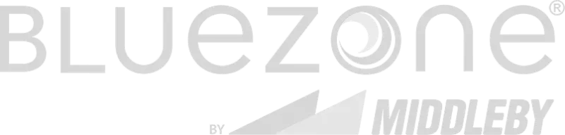 bluezone-logo-grey